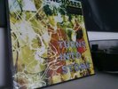 The Stone Roses Turns Into Stone LP Vinyl 180gm Remastered New Sealed
