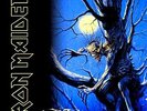 Iron Maiden - Fear of the Dark (2015 Remastered Version) [VINYL]