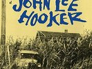 John Lee Hooker - The Country Blues Of John Lee Hooker [VINYL]