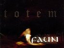 Faun - Totem (Clear Vinyl) [VINYL]