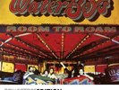 The Waterboys - Room To Roam [VINYL]