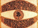 The Bevis Frond - Superseeder [VINYL]