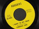 CANDACE LOVE: Never In A Million Years / I Want To Get Back 45 (Sweet Soul)