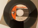 THE MAYTALS SHE'S MY SCORCHER WATER MELON   BEVERLY 45 REGGAE