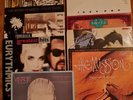 Maxi lp 44 Stück quer Beet