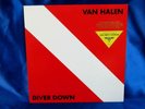 Original 1982 Promo w/ Hype Sticker Hard Rock LP: Van Halen -Diver Down - Warner