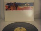 Depeche Mode But not Tonight - Sire, Vinyl LP 12