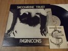 SACCHARINE TRUST PAGANICONS 12'' RARE 1ST PRESS W/ INSERT & STICKER LA PUNK, KBD