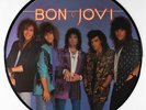 Bon Jovi - Slippery When Wet Picture Disc LP - Mercury