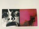2x My Bloody Valentine Loveless + Before Loveless 2LP White Vinyl LP Combined