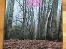 Twink - Think Pink (LP Polydor 1970 1st Press.) Vinyl + Sleeve VG+. Rare Insert.