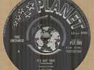 THE UNTAMED**IT'S NOT TRUE**MOD**BEAT**DANCER**THE WHO**HEAR IT