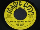 Mad Dog & the Pups   Why Did You Leave Me Girl   Magic City northern soul 45