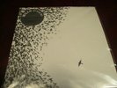 WILCO SKY BLUE SKY 180 GRAM 2007 RELEASE COLLECTORS ORIGINAL MARKETING STICKER