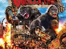 Gorilla Twins [New Vinyl LP]