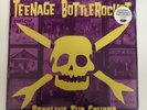 Teenage Bottlerocket 'Stealing The Covers' 12