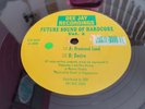 1994 - Future Sound Of Hardcore : Vol 2 : Dee Jay Recordings : LISTEN