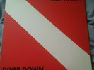 Van Halen Lp Diver Down  1982 Near Mint BSK 3677