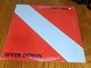 Van Halen Diver Down Warner Brothers BSK 3677 VG+