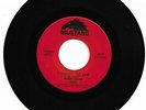 BOBBY FULLER FOUR - I FOUGHT THE LAW - MUSTANG - EXCELLENT CONDITION