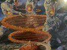 TESTAMENT - TITANS OF CREATION LP BLUE/ORANGE/CLEAR COLORED VINYL LIMITED 1,100