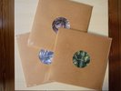 Sand Snowman - 3 LP`s - Vinyl - Steven Wilson