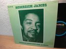 HOMESICK JAMES 
