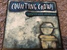 Counting Crows - Somewhere Under Wonderland Gatefold Vinyl LP