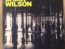 Brian Wilson Beach Boys No Pier Pressure Autograph Signed Vinyl  LP