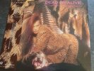 Dead or Alive STunning mint condition Jap Sophisticated Boom Boom LP