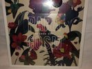 Washed Out Paracosm Clear Vinyl Urban Outfitters Exclusive Sealed New Lp 2013