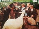 The Beach Boys - Pet Sounds Mono Vinyl