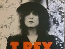 T. Rex ?– The Slider(Vinyl LP)