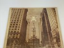 Man Overboard - Man Overboard Vinyl LP Camouflage /500 Rise Records