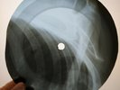 BOOKER T & MGS GREEN ONIONS X-Ray USSR Record Roentgen Bones Ribs Music Vinyl