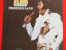 Elvis 