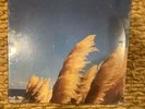 Jimmy Eat World Static Prevails vinyl LP