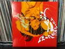 Asobi Seksu CITRUS 2LP 180 Gram One Little Indian TPLP803DMM 2017 Shoegaze NM/NM