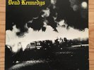 Dead Kennedys - Fresh Fruit for Rotting Vegetables - 1981 IRS Issue - Poster