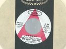 ELMER GANTRY'S VELVET OPERA FLAMES B/W WHAT'S THE POINT OF LEAVING EPIC WLP EX+