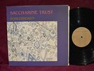 Saccharine Trust Worldbroken LP