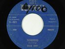 R&B Soul Blues Rocker 45 - Dossie Terry - Thunderbird - King - mp3