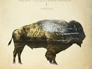 HEARTLESS BASTA-ARROW VINYL LP NEUF