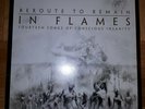 In Flames - Reroute To Remain (Re-Issue) Vinyl LP neuwertig