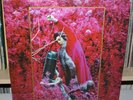 CAPTAIN BEEFHEART GROW FINS VOL.1  2 LP SET XERIC XER-LP-98 CLEAN