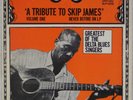 SKIP JAMES: Tribute to Skip Delta Blues US ’70 Biograph BLP-12016 LP Vinyl