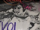 SONIC YOUTH EVOL Original LP Punk Rock Record Album -NM + 45