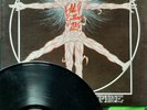 (Signed) Leeway 
