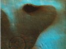 Pink Floyd: Meddle PREOWNED LP VG+/VG