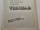 John Gibbs & The U.S. Steel Orchestra - Trinidad 12